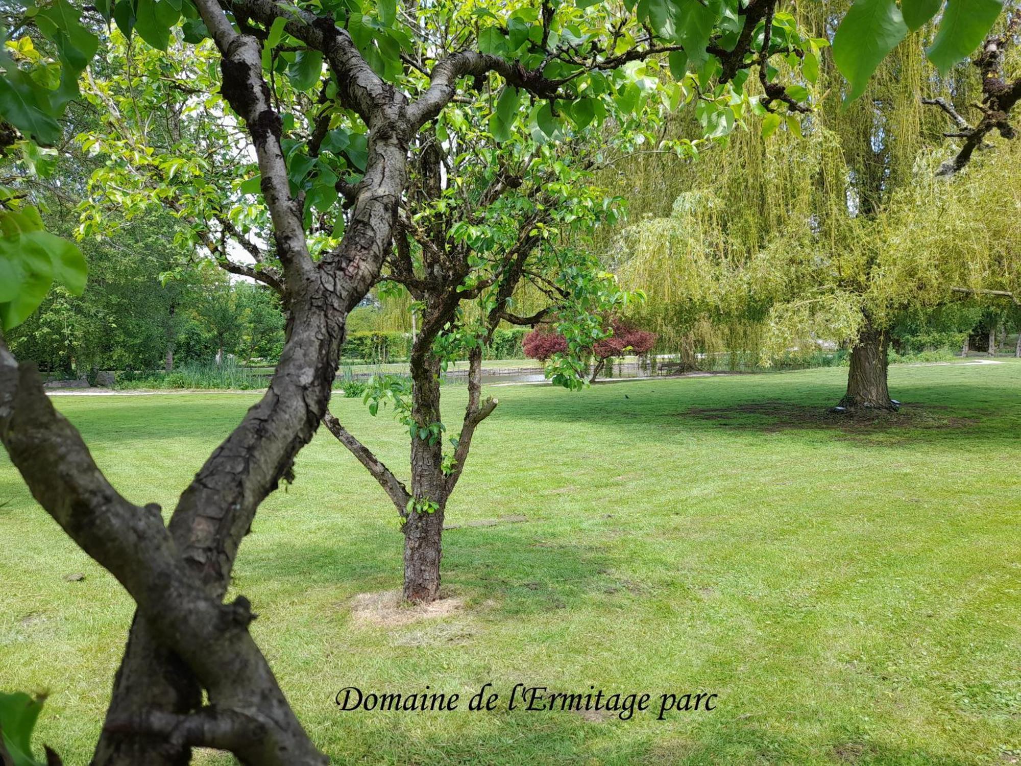 Villa Domaine De L'Ermitage Rue  Esterno foto